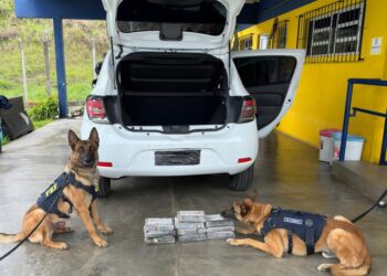 PRF localiza cocaína em painel de veículo na BR-116 na Região Metropolitana de Curitiba