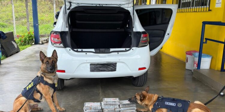 PRF localiza cocaína em painel de veículo na BR-116 na Região Metropolitana de Curitiba