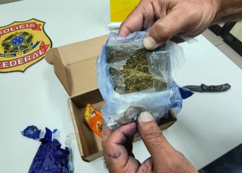PF apreende porções de maconha e haxixe enviadas via Correios