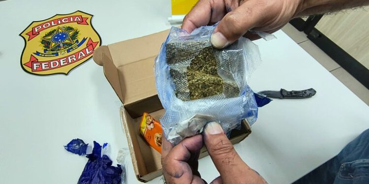 PF apreende porções de maconha e haxixe enviadas via Correios