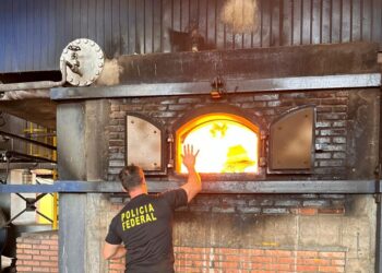 PF incinera mais de 4 toneladas de drogas
