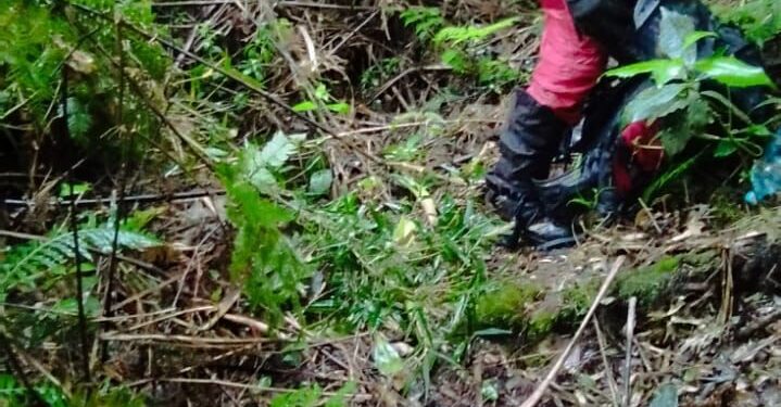 Bombeiros fazem buscas na Serra do Mar para encontrar dois jovens que desapareceram