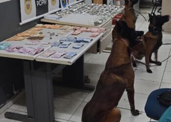 Companhia Independente de Operações com Cães apreende drogas na Cidade de Deus em Colombo