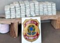 Polícia Federal prende homem transportando 70,4 kg de cocaína no Paraná