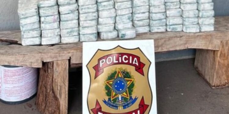 Polícia Federal prende homem transportando 70,4 kg de cocaína no Paraná