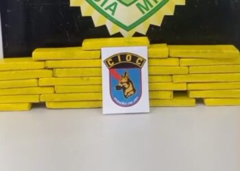 Companhia Independente de Operações com Cães encontra mala com maconha na Rodoferroviária de Curitiba