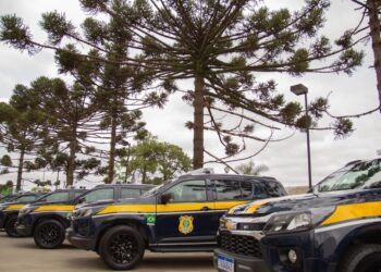 PRF do Paraná recebe 19 novas viaturas operacionais