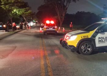 Motociclista tenta evitar acidente, bate em árvore, cai na caneleta e morre atropelado por ônibus