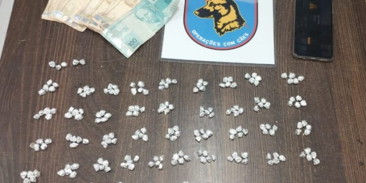 Companhia Independente de Operações com Cães apreende pedras de crack em Matinhos