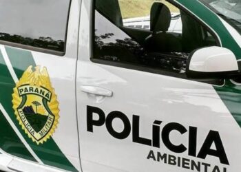 Polícia Ambiental prende idosos foragidos por estupro de vulnerável