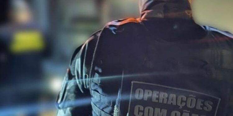 Dupla morre em confronto com a Companhia Independente de Operações com Cães na Cidade de Deus