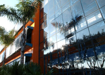 PUCPR e NAF realizam atendimentos gratuitos para quem precisa regularizar o CPF