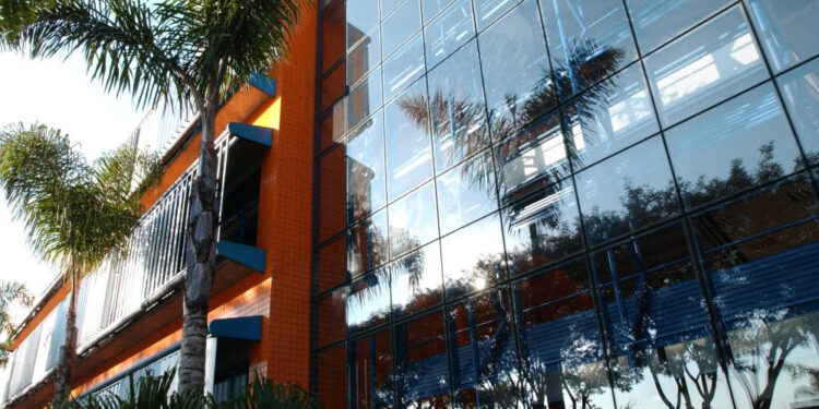 PUCPR e NAF realizam atendimentos gratuitos para quem precisa regularizar o CPF