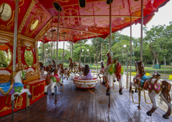 Confira o roteiro para aproveitar o Natal de Curitiba Luz dos Pinhais com as crianças