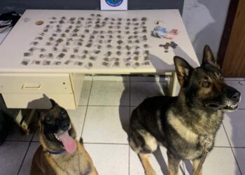 Mulher é presa com drogas após tentativa de fuga em Colombo