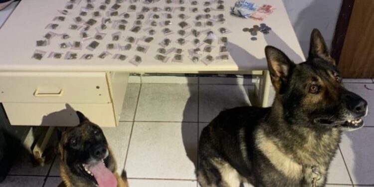 Mulher é presa com drogas após tentativa de fuga em Colombo