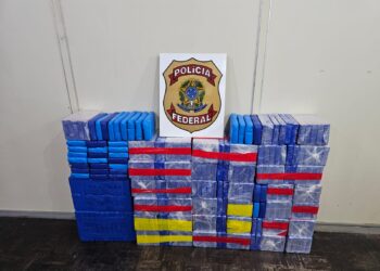 Polícia Federal apreende carregamento milionário de cocaína no Porto de Paranaguá; cinco foram presos