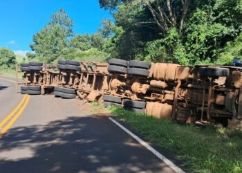 Caminhão carregado com toras tomba na PRC-456 no Paraná