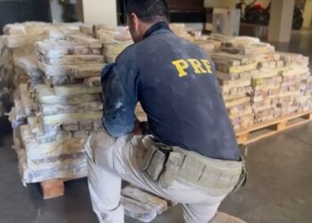 PRF apreende mais de 4 toneladas de maconha em nova Unidade Operacional no Paraná