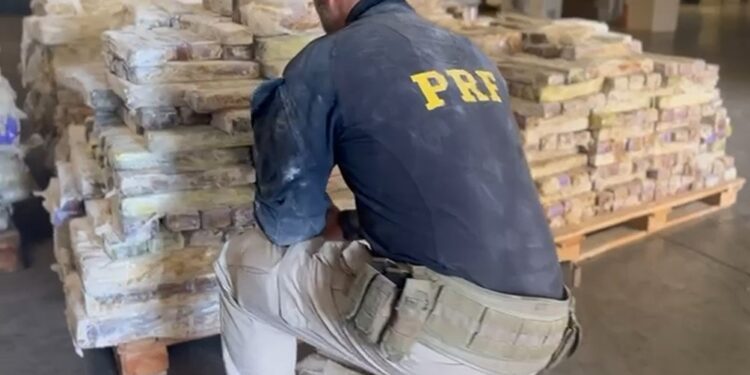 PRF apreende mais de 4 toneladas de maconha em nova Unidade Operacional no Paraná