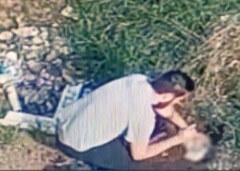 Homem é preso após matar porquinho da Índia a marteladas na região metropolitana de Curitiba