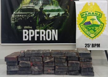 Durante Operação Natal, PM apreende 295 quilos de maconha no Paraná