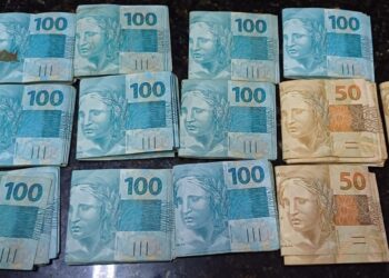 PRF apreende mais de 1,5 tonelada de maconha em caminhão na BR-116, em Quatro Barras