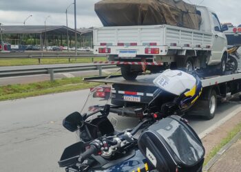 PRF prende motorista de caminhonete sob efeito de maconha na região de Curitiba