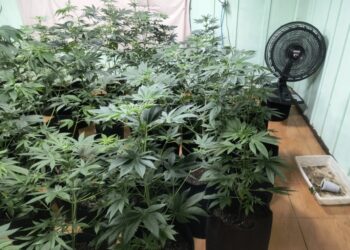 ROTAM desmantela laboratório de drogas em Colombo