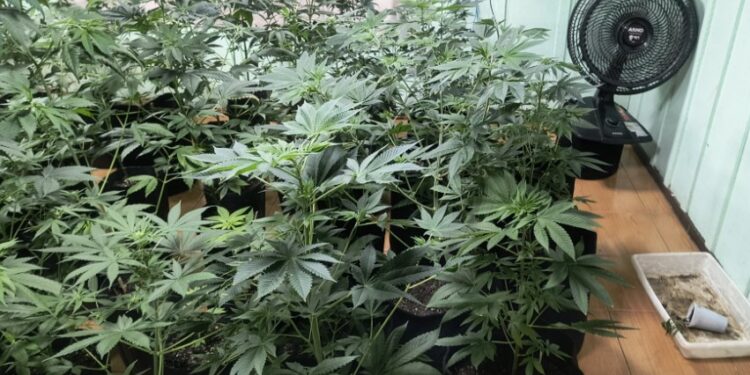 ROTAM desmantela laboratório de drogas em Colombo