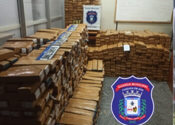 Guarda Municipal de Campo Largo apreende mais de 1,6 tonelada de maconha com apoio da PRF