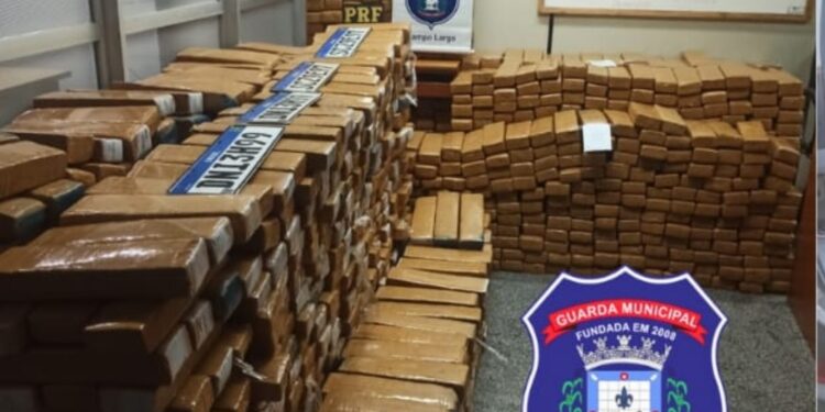 Guarda Municipal de Campo Largo apreende mais de 1,6 tonelada de maconha com apoio da PRF