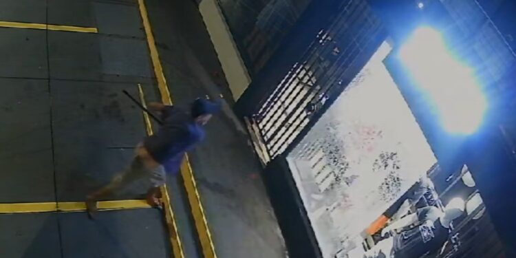 Dupla é presa após furtar loja de roupas; câmera registrou a ação