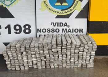 Polícia Rodoviária apreende 185 kg de maconha e recupera veículo furtado