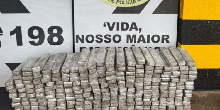 Polícia Rodoviária apreende 185 kg de maconha e recupera veículo furtado