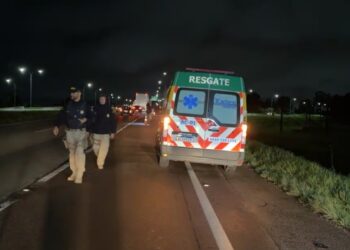 Homem morre atropelado no Contorno Leste em São José dos Pinhais