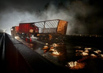 Carretas pegam fogo após colisão na BR-277 e motorista fica gravemente ferido