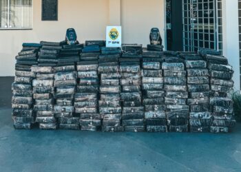 ROTAM apreende mais de uma tonelada de maconha em Cruzeiro do Oeste