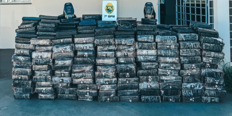 ROTAM apreende mais de uma tonelada de maconha em Cruzeiro do Oeste