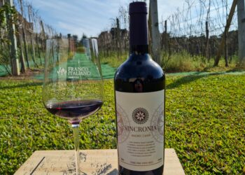 50 anos: da produção colonial ao vinho fino