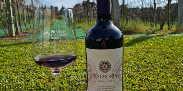 50 anos: da produção colonial ao vinho fino