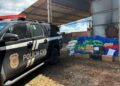 PCPR incinera mais de meia tonelada de drogas