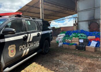 PCPR incinera mais de meia tonelada de drogas