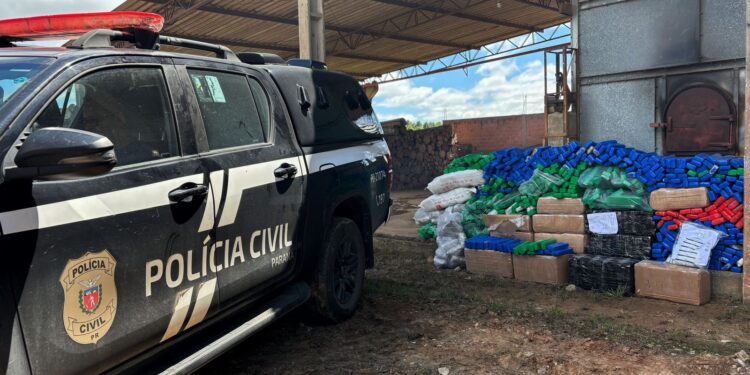 PCPR incinera mais de meia tonelada de drogas