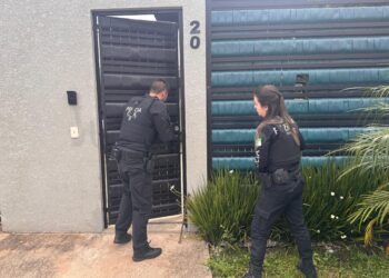 Em ação contra o tráfico de drogas, PCPR prende dois indivíduos em Piraquara