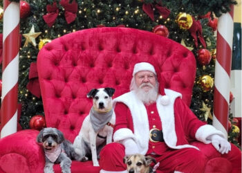 Shopping promove sessão de fotos de Natal com os pets