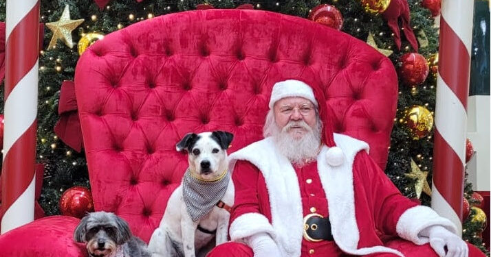 Shopping promove sessão de fotos de Natal com os pets