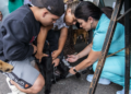 Prefeitura de Curitiba abre mais 4.600 vagas para castração gratuita de cães e gatos