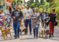 Parque Barigui recebe Cãominhada e a primeira edição do Amigo Bicho de 2025 neste sábado