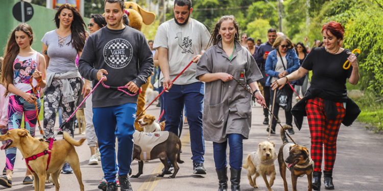 Parque Barigui recebe Cãominhada e a primeira edição do Amigo Bicho de 2025 neste sábado